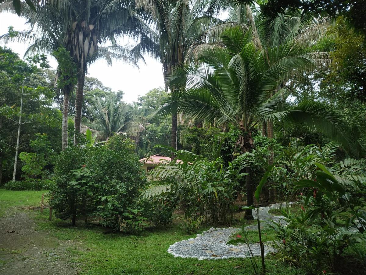 Lodge Four Monkeys Eco - Jungle & *