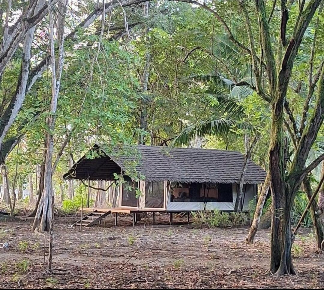 Four Monkeys Eco - Jungle & Lodge Cabo Matapalo