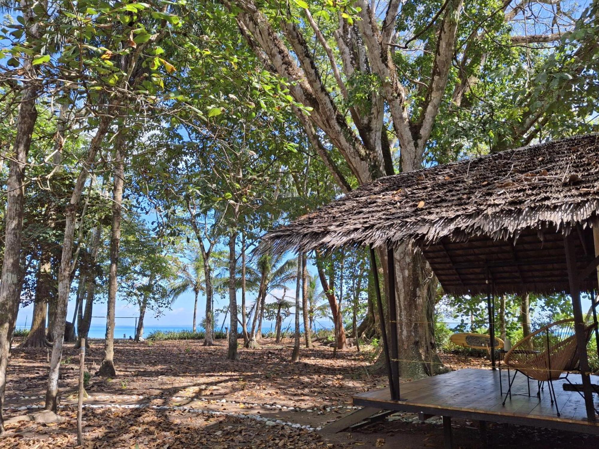 Four Monkeys Eco - Jungle & * Cabo Matapalo