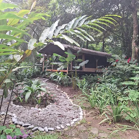 Four Monkeys Eco Lodge - Jungle & Beach Cabo Matapalo Exterior photo