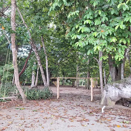 Four Monkeys Eco Lodge - Jungle & Beach Cabo Matapalo Exterior photo