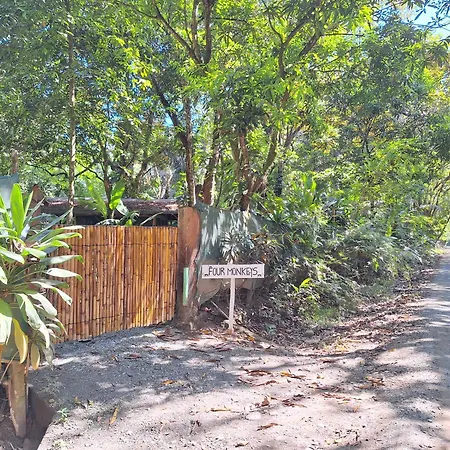Four Monkeys Eco Lodge - Jungle & Beach Cabo Matapalo Exterior photo