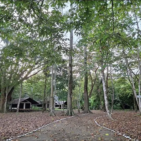 Four Monkeys Eco Lodge - Jungle & Beach Cabo Matapalo Exterior photo