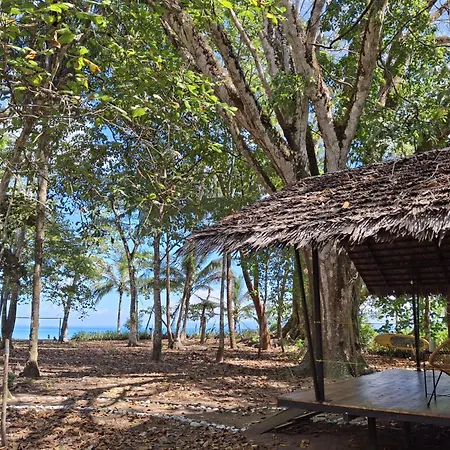 Four Monkeys Eco Lodge - Jungle & Beach Cabo Matapalo Exterior photo