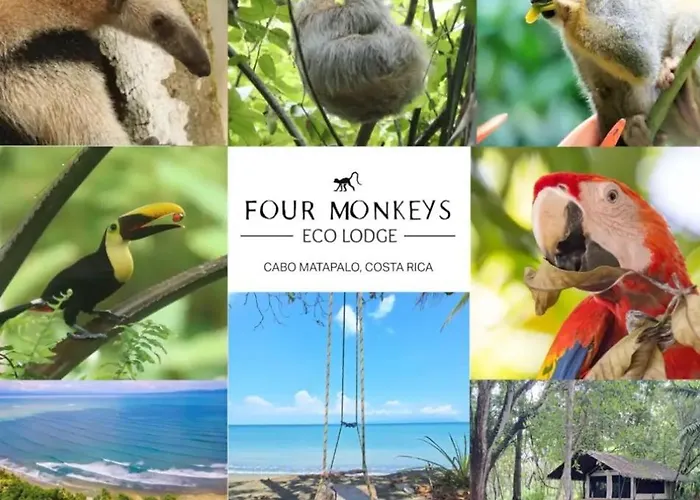 Four Monkeys Eco Lodge