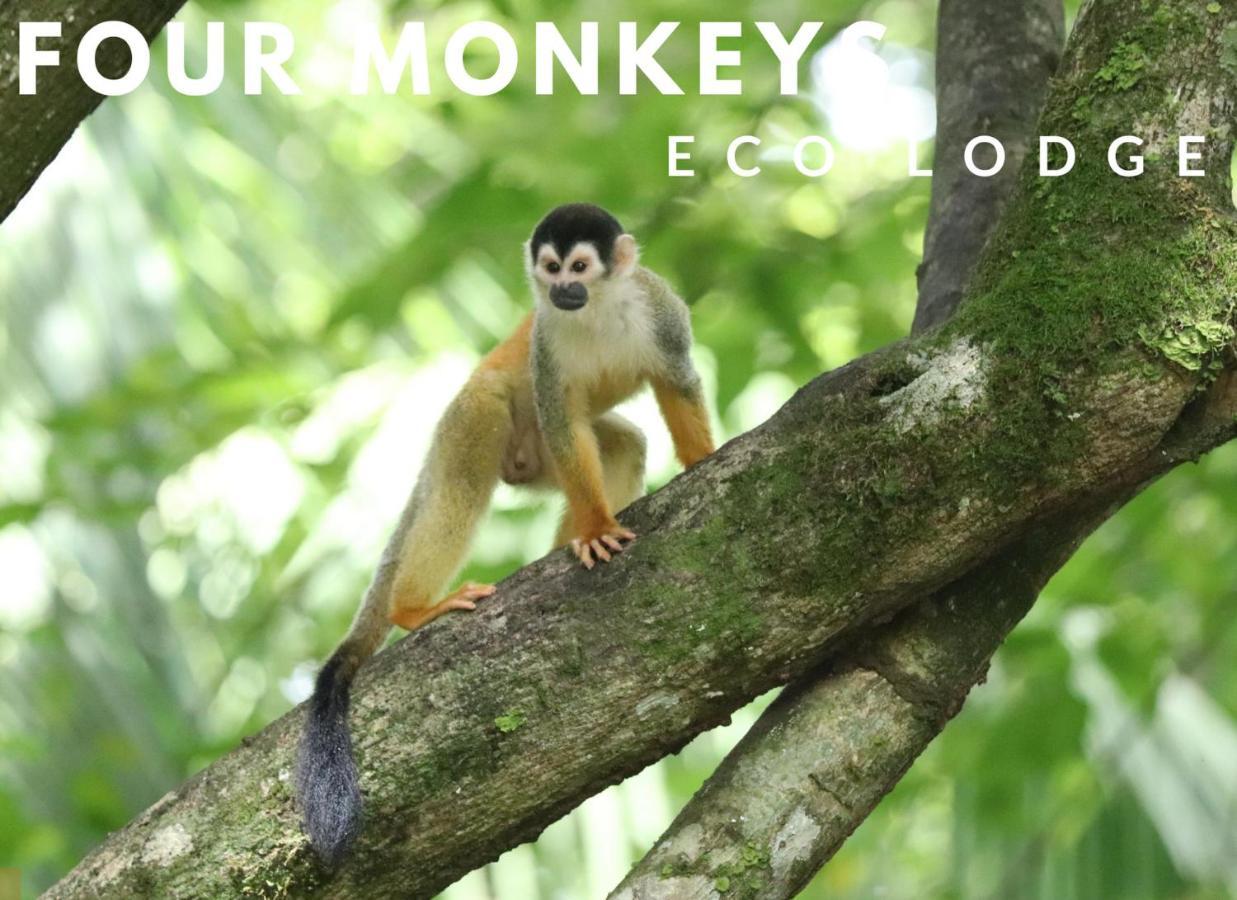 Four Monkeys Eco Lodge