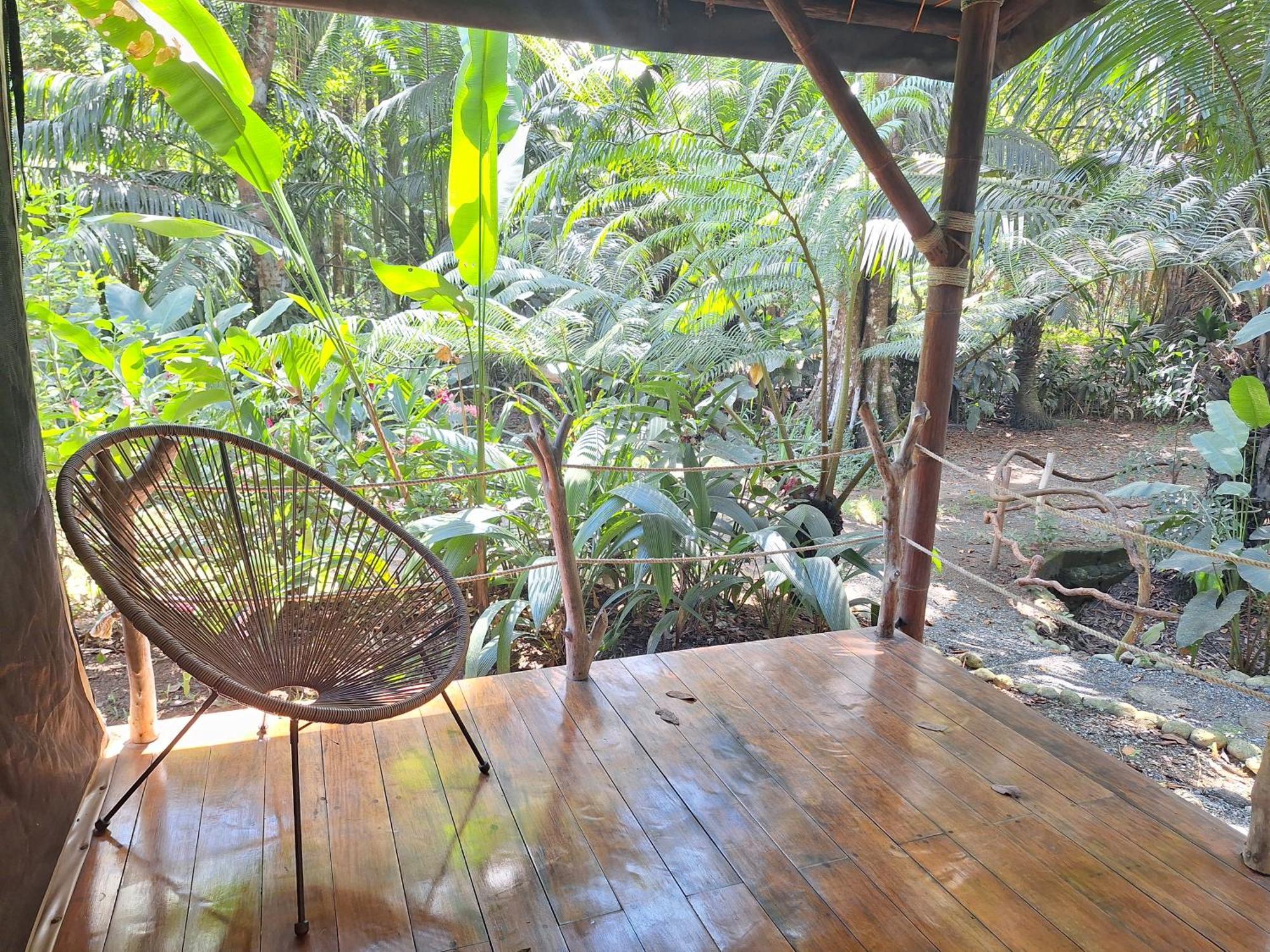 Four Monkeys Eco * Cabo Matapalo
