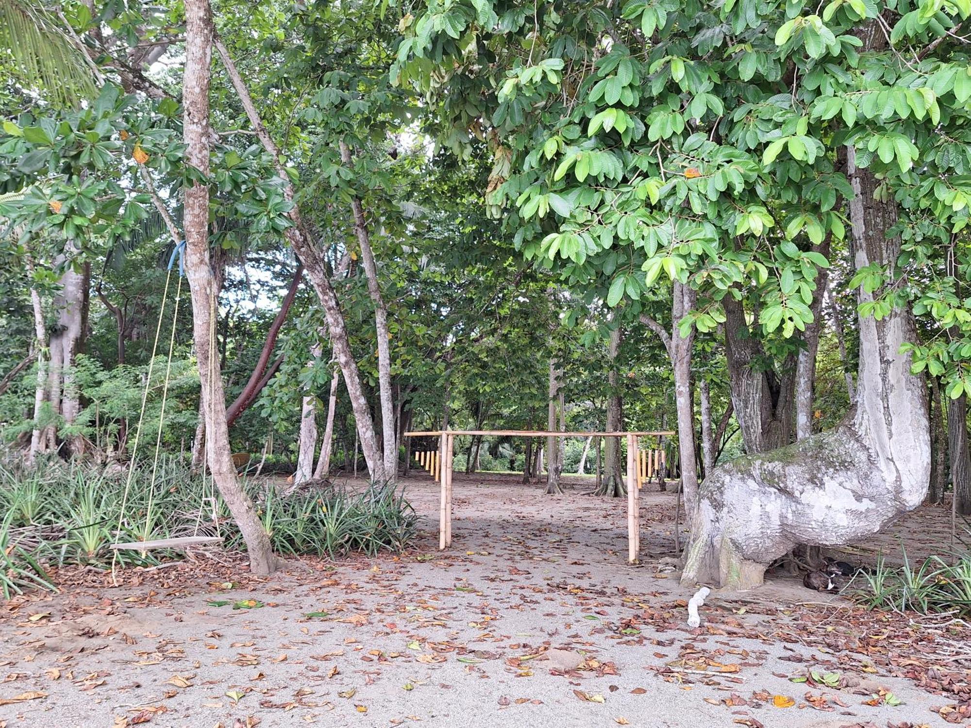 Four Monkeys Eco