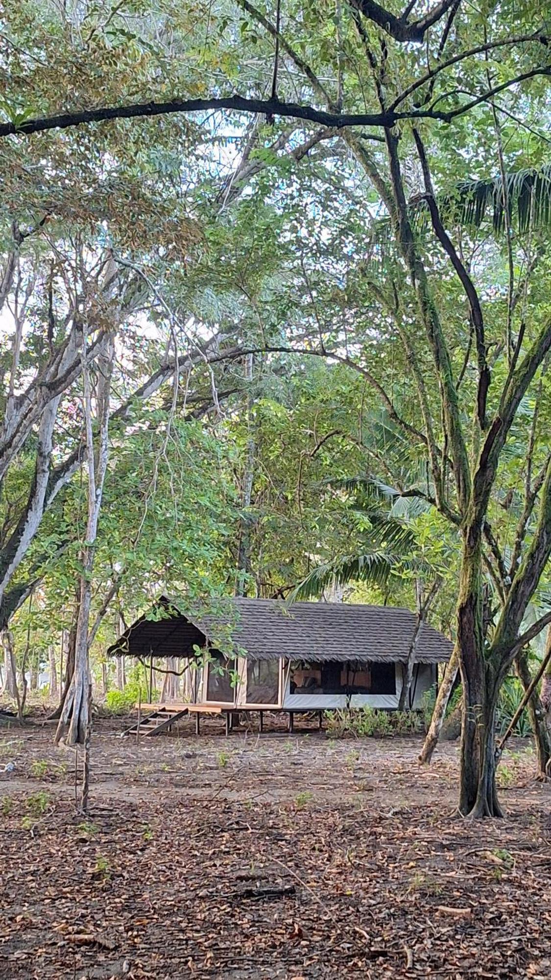 Four Monkeys Eco Lodge Cabo Matapalo