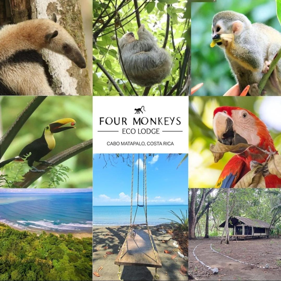 Four Monkeys Eco Lodge *
