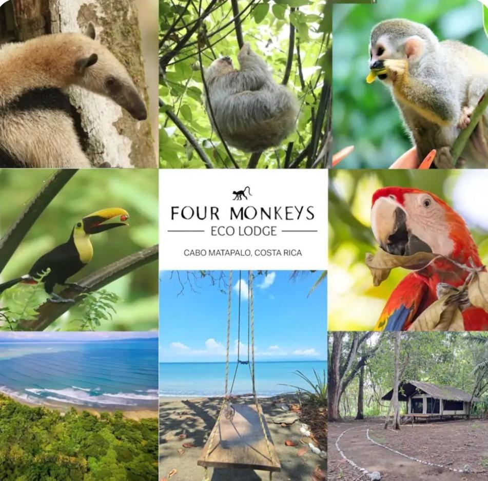 Four Monkeys Eco Lodge *