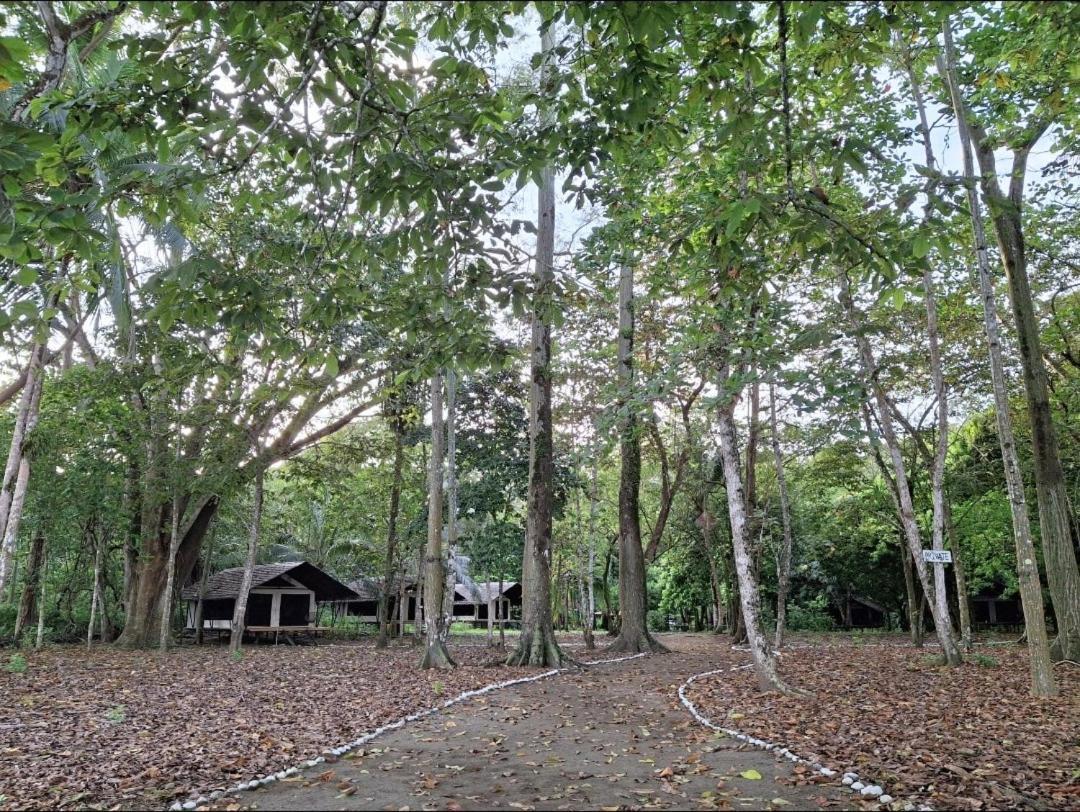 Four Monkeys Eco Lodge