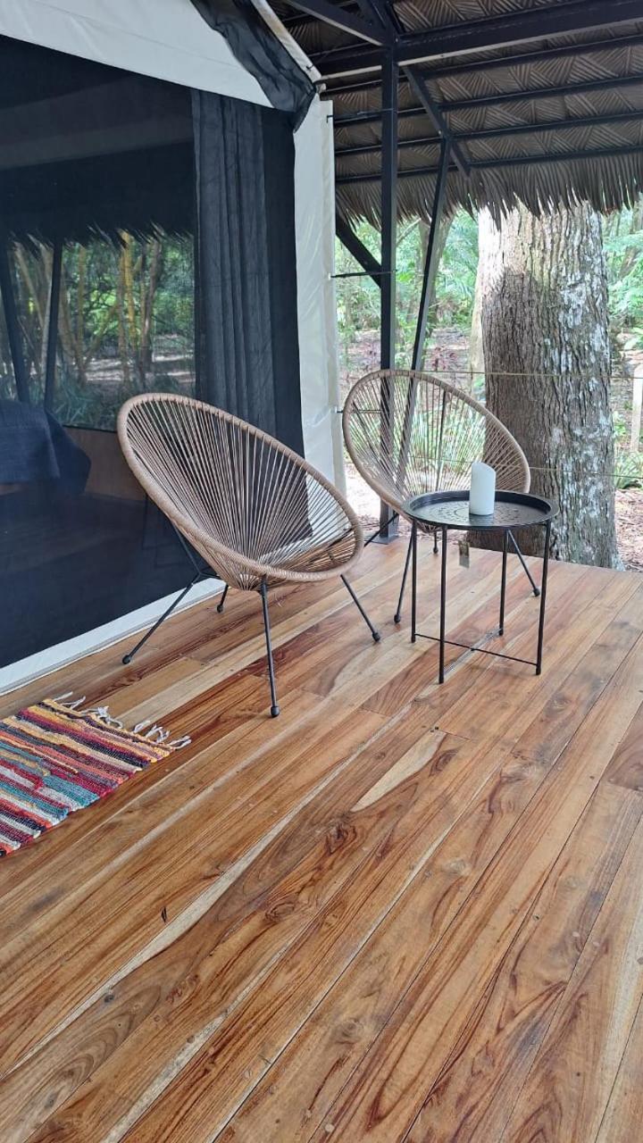 Four Monkeys Eco Lodge *